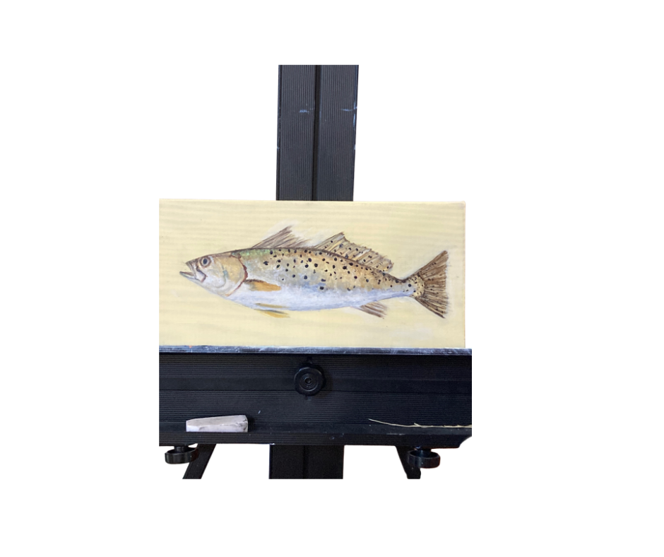 Speckled Trout on Wooden Board